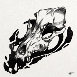 Dog skull